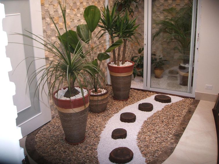 Plantas para jardim de inverno: como escolher?
